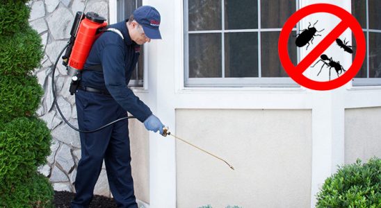Burhaniye Akrep İlaçlama böcek ilaçlama ve haşere kontrolü — ilaclama-tr.com